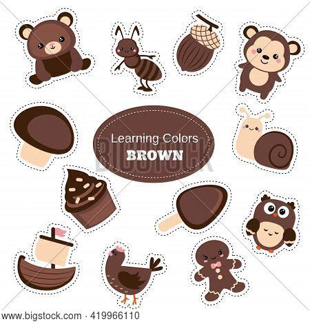 Brown Objects. Vector & Photo (Free Trial) | Bigstock