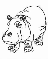Free Printable Hippo Coloring Pages For Kids sketch template