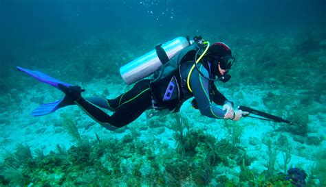 Good Idea or Not? Florida Group Proposes A Ban of Spearfishing on Scuba ...