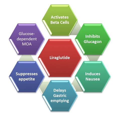 Liraglutide Mechanism Of Action: For Weight Loss And Diabetes