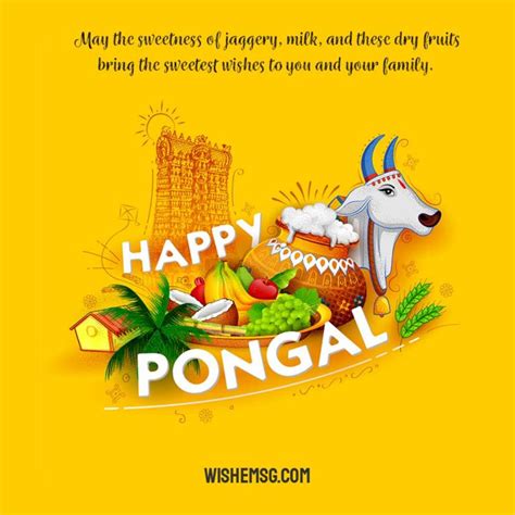 200+ Happy Pongal Wishes Quotes Images 2024 - Wishemsg.Com