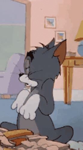 Tom And Jerry Tom The Cat GIF - TomAndJerry TomTheCat Scüchtern ...