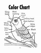 Coloring Pages With Instructions At GetColoringscom  Free Printable sketch template