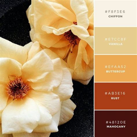 Vibrant Color Palette Combos Take Colors From the World to Inspire Creativity | Farbinspiration ...