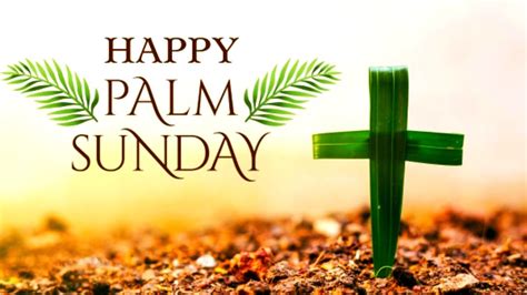 Palm Sunday Status 2022 / Palm Sunday Jesus Status / Palm Sunday 2022 ...