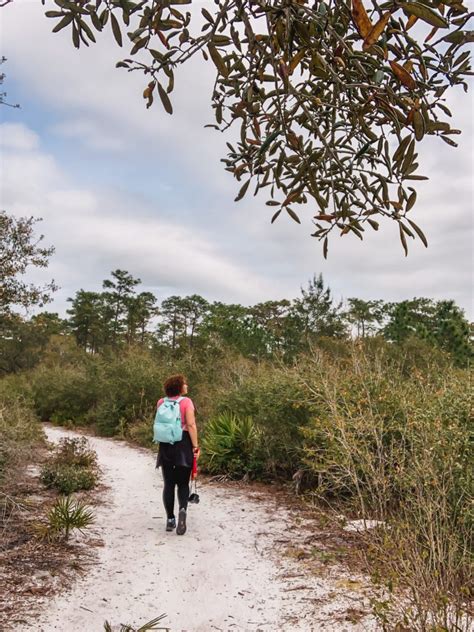 7 Tips for Hiking Wekiva Springs Orange Trail - Next Stop Adventures