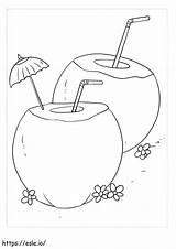 Two Coconut Drinks coloring Page sketch template