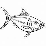 Tuna fish Outline coloring Page Lulu Pages sketch template