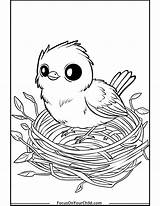 50  Robin Coloring Pages Free PDF Printables sketch template