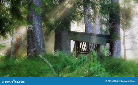 Food for the wildlife stock photo. Image of outside, forest - 24166980