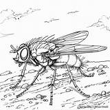 Fly Coloring Pages  Free & Printable sketch template