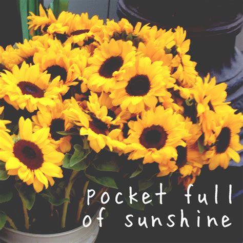 Pocket Full Of Sunshine Pictures, Photos, and Images for Facebook, Tumblr, Pinterest, and Twitter