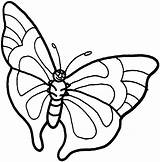 Free Printable Butterfly Coloring Pages For Kids sketch template