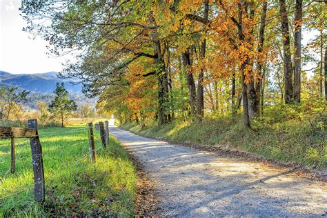 Fall Colors along Hyatt Lane in Cades Cove -GSMNP Photograph by Peter ...