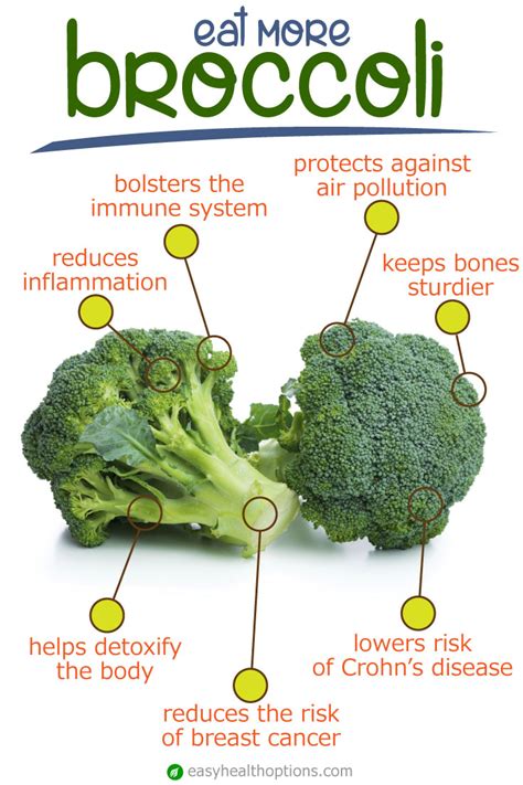 The bountiful benefits of broccoli | Health Maximizer