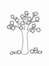 Maple coloring Pages  Coloring Tree Page Free kids sketch template