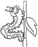 Millipede coloring page Caterpillar sketch template