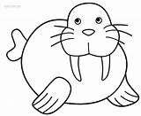 Printable Walrus Coloring Pages For Kids  Cool2bKids sketch template