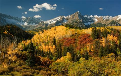 Autumn Trees With Mountains HD wallpaper