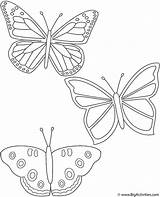 Butterfly coloring Pages 50 Free Printabulls – Artofit sketch template