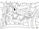 Cricket Coloring Pages To Print sketch template