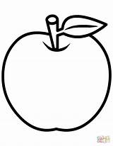 Apple coloring page  Free Printable Coloring Pages sketch template