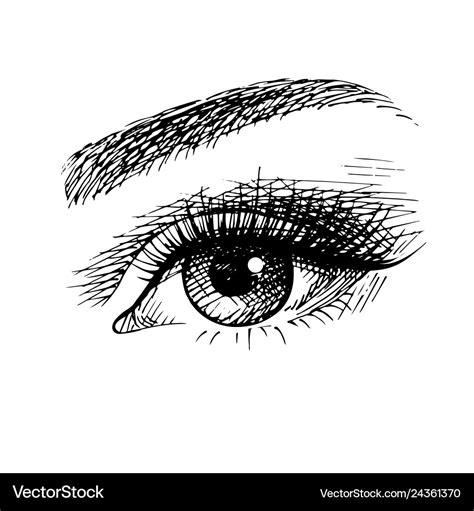 Beautiful female eye sketch Royalty Free Vector Image