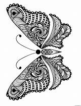 Advanced Insect Animal Adult Coloring page Printable sketch template
