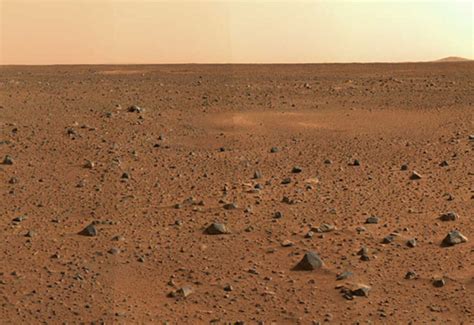 Scientists Say These Bacteria Could Actually Survive On Mars