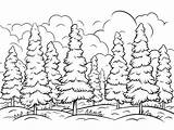 Pine Forest Coloring Page For Kids  Free Printable sketch template