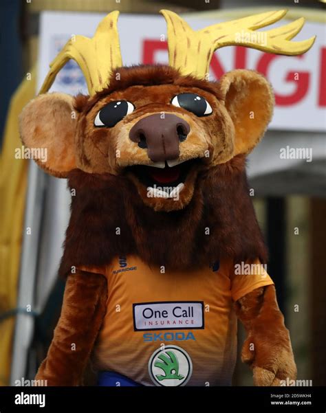 Mansfield Town mascot Sammy The Stag Stock Photo - Alamy