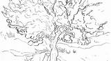 Coloring Pages  Van Gogh Gallery sketch template