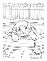 Free Puppy Coloring Pages For Kids & Adults PDF Printables sketch template