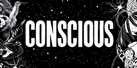 Mystery of the Mind: “Conscious” by Annaka Harris (Book Summary ...