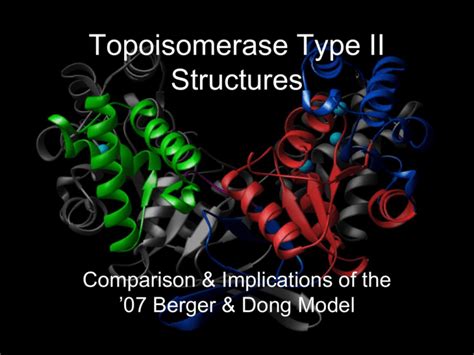 Topoisomerase Type II Structures