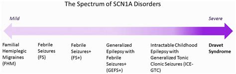 Dravet syndrome causes, symptoms, diagnosis, treatment & prognosis