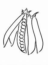 Beans Coloring Pages Printable For Free Download sketch template