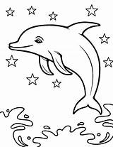 261 Dibujos Para Colorear De Delfines Hermosa Página  sketch template