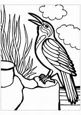 Oiseaux Coloriage Coucou Koekoek Vogel Disegno Uccello Colorare Oiseau  sketch template