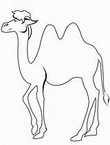 Camel coloring pages To Download And Print For Free sketch template
