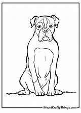 Coloring Dog Boxer Pages Dogs Printable Color Dane Great Puppy Beagle  sketch template