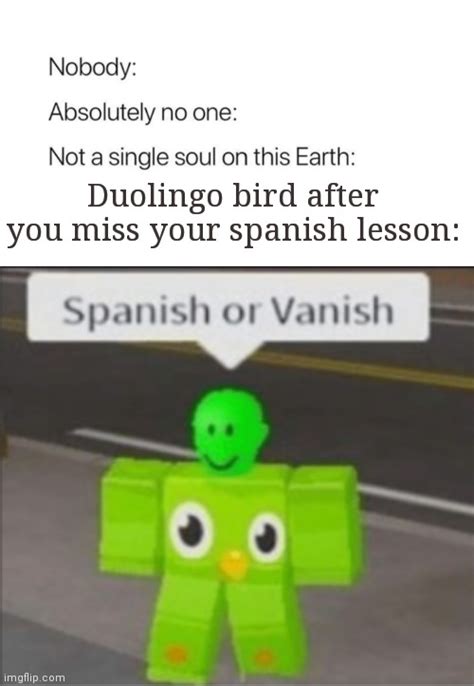 Duolingo is coming for you - Imgflip