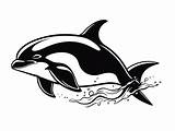 Majestic Orca Whale Coloring  Coloring Page sketch template