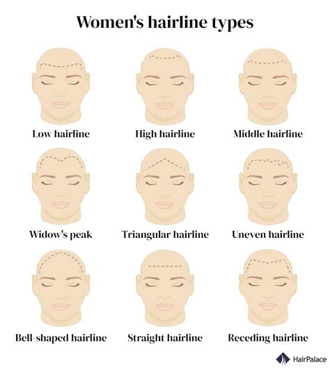 Hairline Types for Men and Women & How to Change Yours