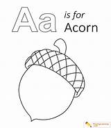 Printable Acorn Coloring Pages sketch template
