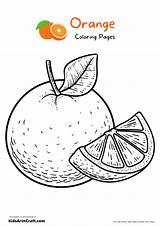 Orange Coloring Pages Fruit Printable Oranges Kids Fruits Colouring  sketch template