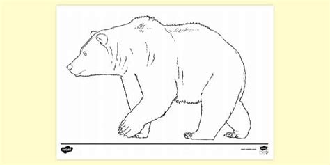 FREE! - Brown Bear Colouring Page | Colouring Sheets