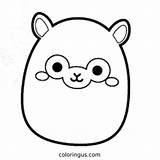 Squishmallow Coloring Pages Free Printable PDF sketch template