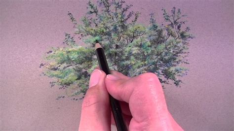 How to Draw a Tree with Colored Pencils - YouTube