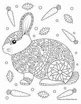 Rabbit Adult Coloring Page  Woo Jr Kids Activities Childrens sketch template